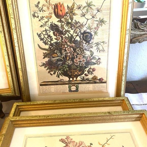 Elegant Gold Framed Botanical Art Print - Picture 2 of 10